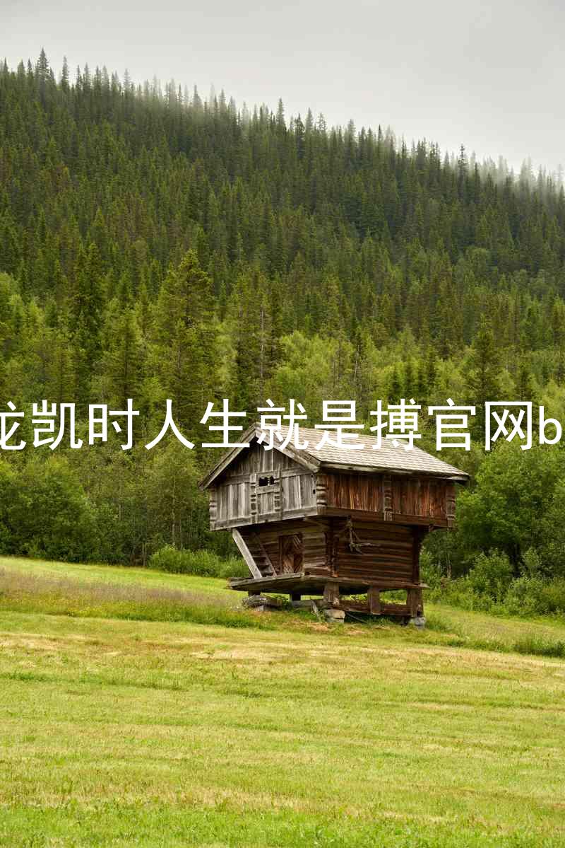 尊龙凯时人生就是搏官网bjl8
